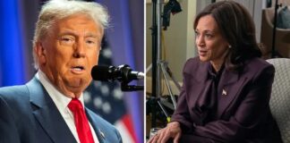 trump, kamala harris