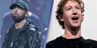 eminem, meta