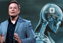 Elon