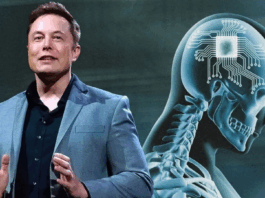 Elon
