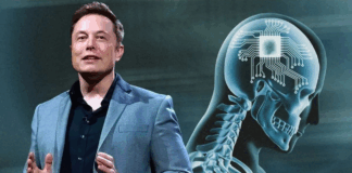 Elon