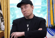 Elon