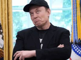 Elon
