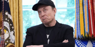 Elon