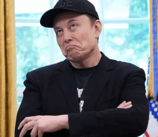 Elon