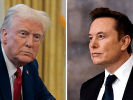 Elon