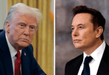 Elon