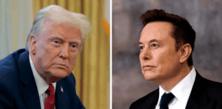 Elon