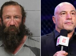 liver king, joe rogan