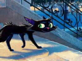 pixar, gatto