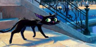 pixar, gatto