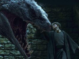 harry potter
