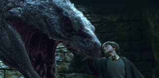 harry potter
