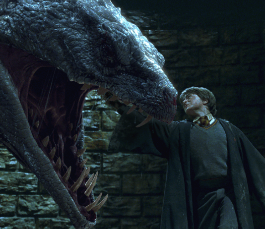 harry potter