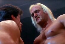 hulk hogan, stallone