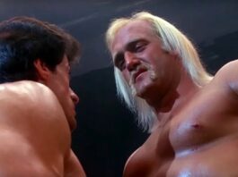 hulk hogan, stallone