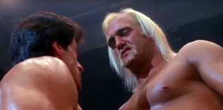hulk hogan, stallone