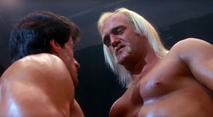 hulk hogan, stallone