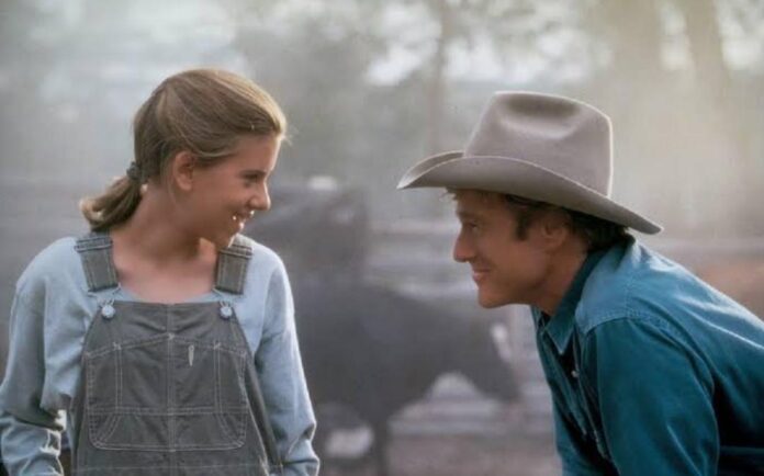 robert redford, L'uomo che sussurrava ai cavalli