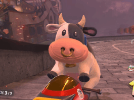 mucca