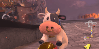 mucca