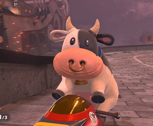 mucca