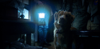 Good Boy