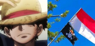 one piece
