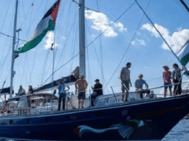 Flotilla