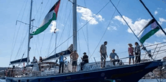 Flotilla