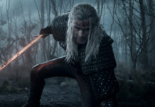 the witcher