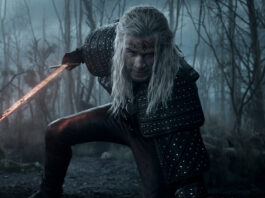 the witcher