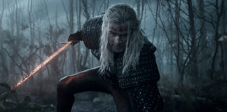the witcher