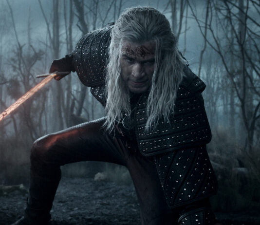 the witcher
