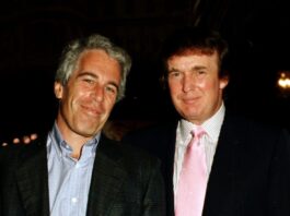 trump, epstein