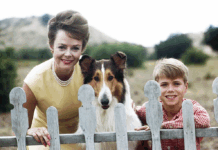 È morta June Lockhart, attrice di Lassie: aveva 100 anni June Lockhart