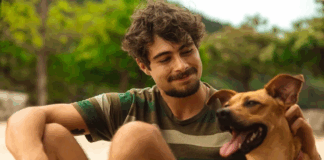Amendoim