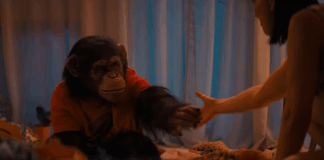 Ben – Rabbia animale