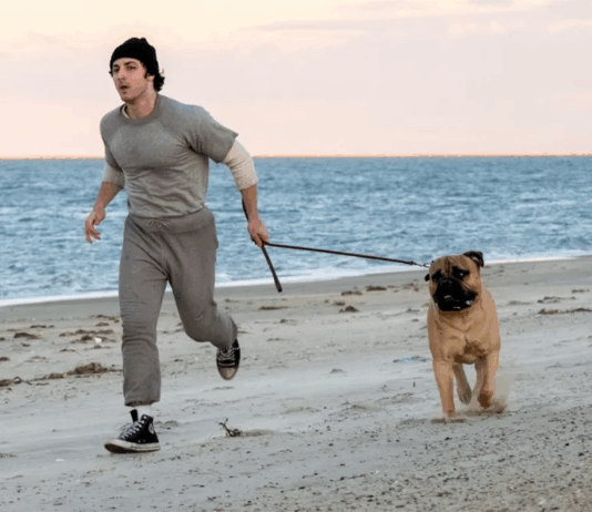 Rocky