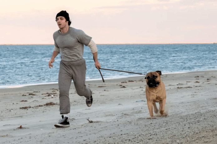 Rocky