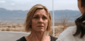 rhea seehorn, pluribus