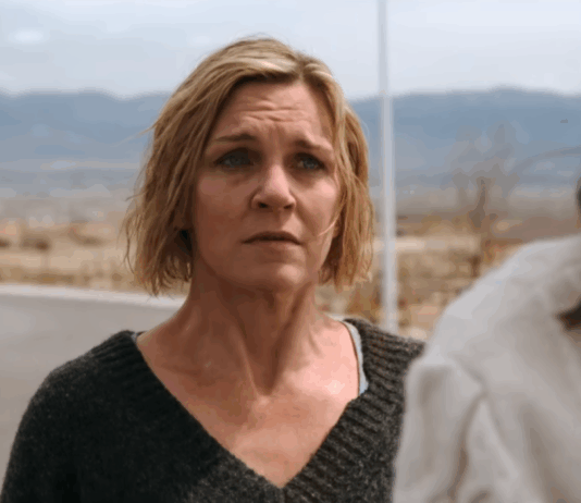 rhea seehorn, pluribus