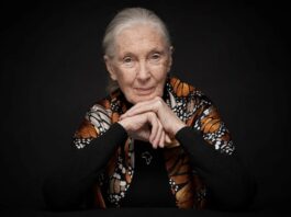 jane goodall