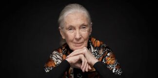 jane goodall