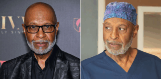 james pickens jr, greys' anatomy