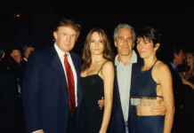 trump, epstein
