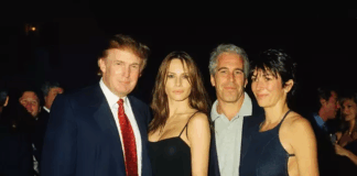 trump, epstein